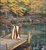 Reflecting on Golden Pond