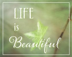 Life is Beautiful by Hal Halli