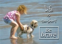 Life is Too Short by Hal Halli