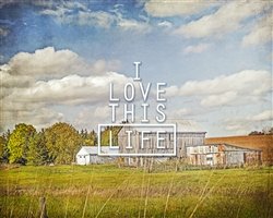 Love this Life by Hal Halli