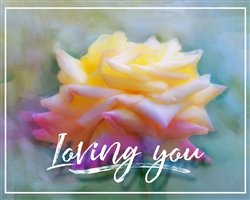 Loving You by Hal Halli