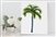 Blue Palm