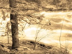 By the Rapids by Hal Halli
