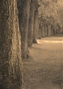 In the Park Along the Way by Hal Halli