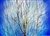Bare Tree in Crystal Blue by Hal Halli