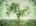 Tree at the Lake by Hal Halli