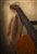 Hat & Guitar by Hal Halli