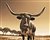 You Lookin at me? Sepia tone giclee canvas by Don Schimmel