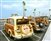 Eat at Woody's giclee canvas by Don Schimmel