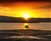 Big Lake Tree Landscape giclee canvas by Don Schimmel