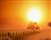 Foggy Road - Sunrise Landscape giclee canvas by Don Schimmel
