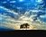 Side by Side - Sunset Landscape giclee canvas by Don Schimmel