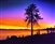 Tree Lake - Sunset Landscape giclee canvas by Don Schimmel
