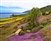Nice Place to Sit -Ocean, Beach and Bench giclee canvas by Don Schimmel