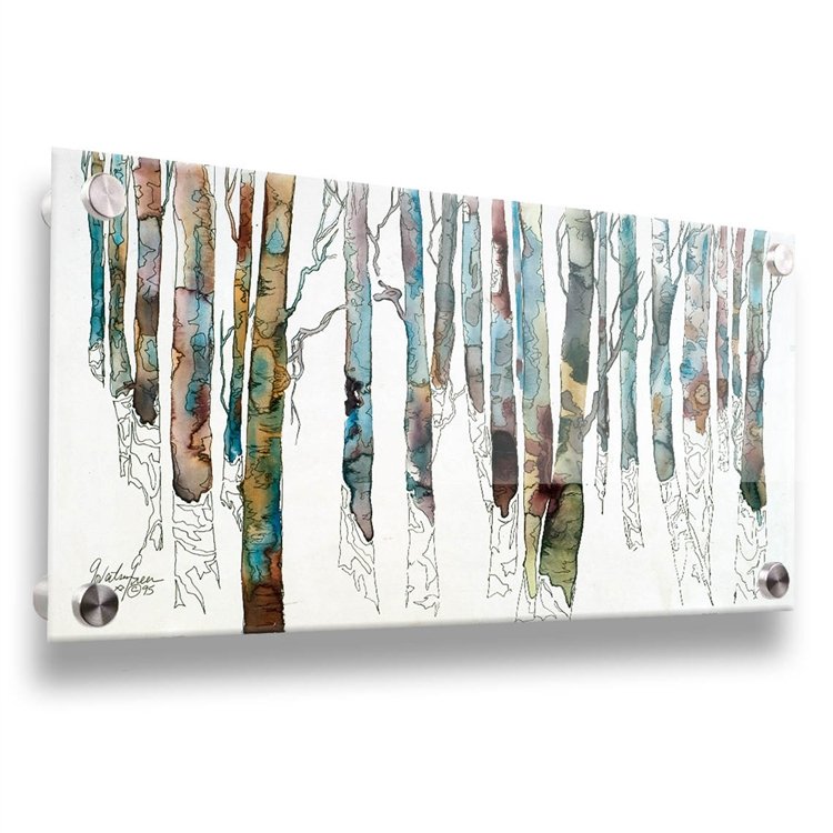 Birch I acyrlic image by Cheri Greer