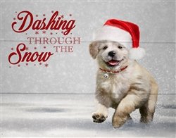 Christmas Dashing through the snow