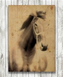 Stallion Horse in Sepia Wood Pallet by Hal Halli